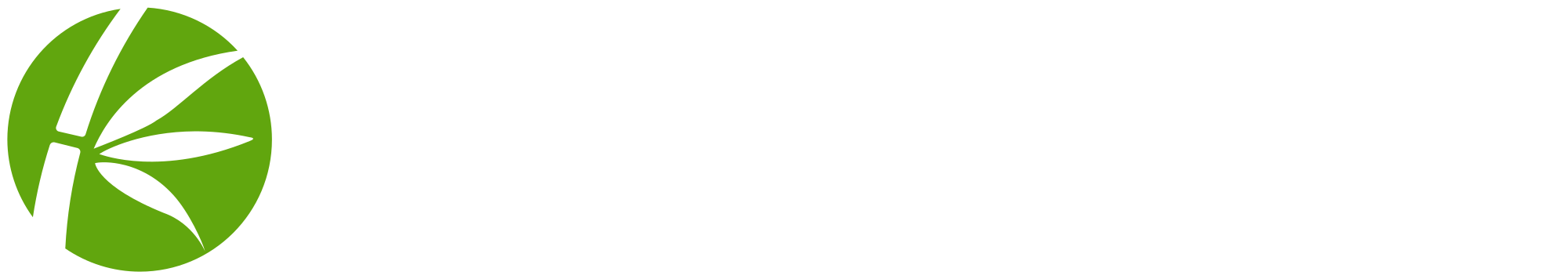 BasisTech logo (text white / bamboo cutout / PNG)